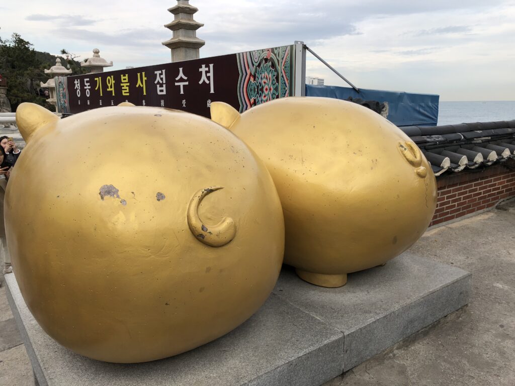 画像に alt 属性が指定されていません。ファイル名: IMG_5900-1024x768.jpg