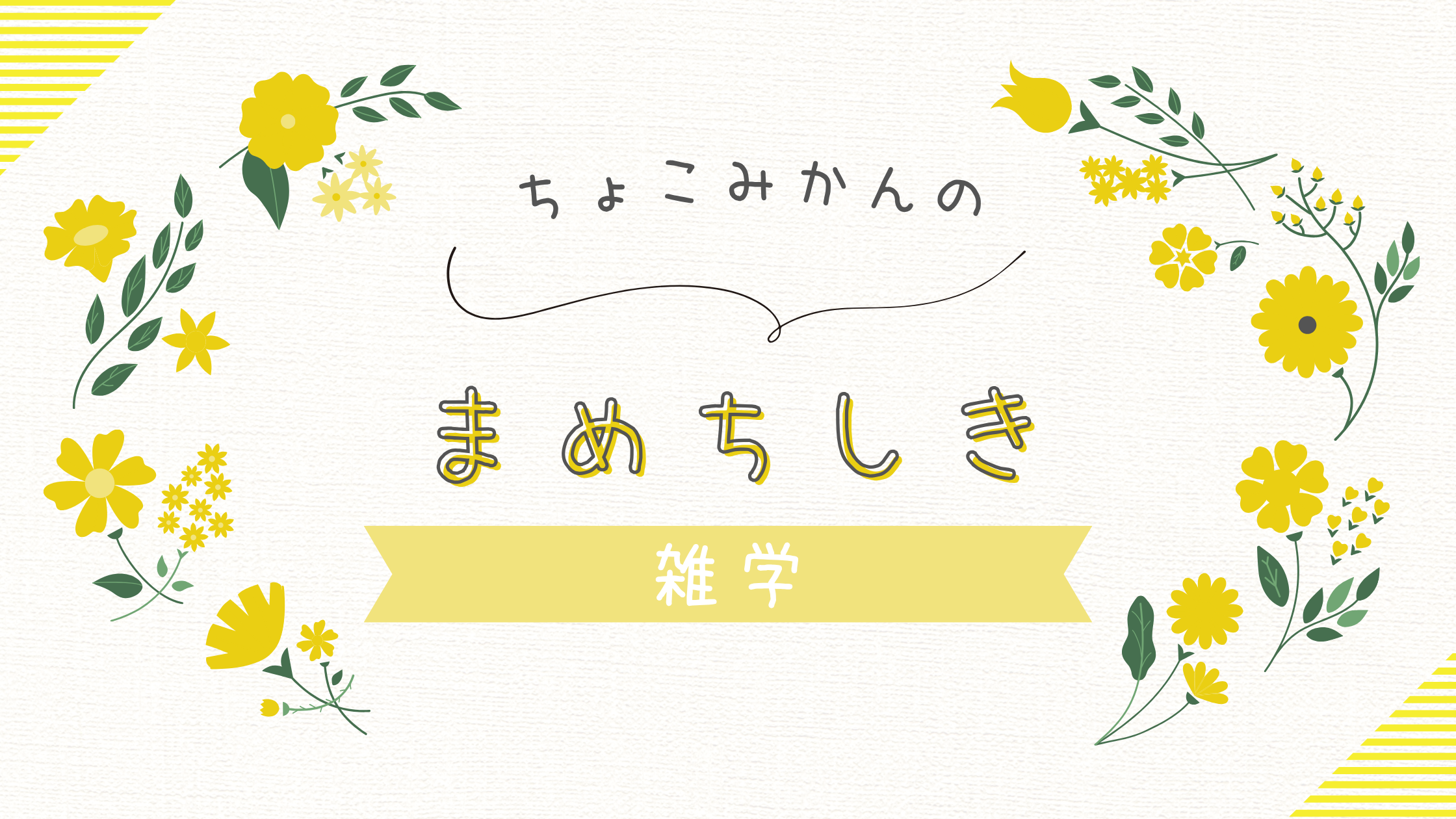 まめちしき